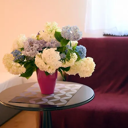 Σπίτι διακοπών Pod Zatorem Ryczow