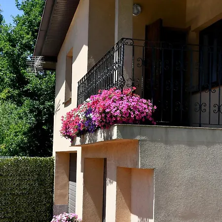 Pod Zatorem * Ryczow